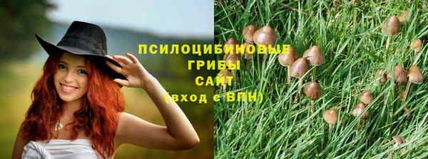 тгк Абдулино