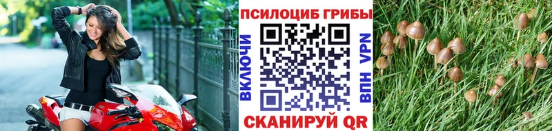 наркотики  Усть-Катав  Галлюциногенные грибы прущие грибы 